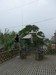 BG4CGG Image